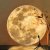 LUNA Månen & Jorden Projektor