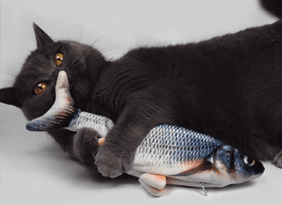 Katzenspielzeug – zappelnder Fisch